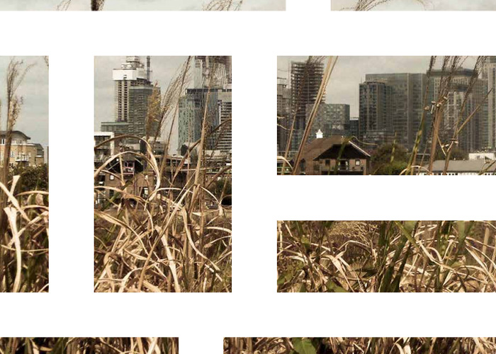 stonecrop-review-2019